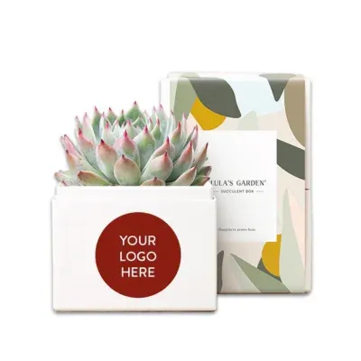 Bliss Garden Succulent Plant Gift - Custom