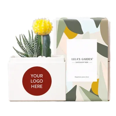 Joy Garden Succulent Plants Gift - Custom