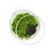 OXO Salad Spinner