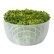 OXO Salad Spinner