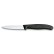 Victorinox Swiss Army 10-Piece Block Knife Set (Hankin Group)