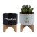 Saratoga Ceramic Flower Pot