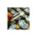 Custom Fortune Cookies - 12pc. Clear Take-out Pail with Custom Message