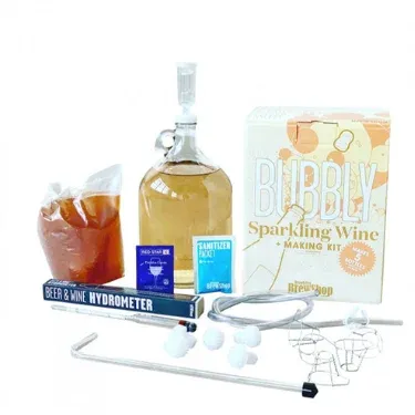 Bubbly Sparkling Making Wine Kit