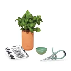 Modern Sprout® Growing Gourmet Herbs Gift Set