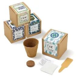 Custom Pine Tree Growables Planter In Kraft Gift Box