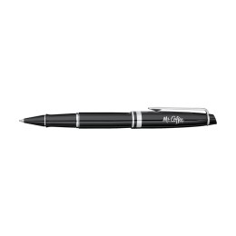 Waterman Expert Rollerball Pen