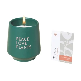 Modern Sprout® Rooted Candle & Seeds Kit