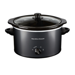 Hamilton Beach® Oval Slow Cooker - 3qt