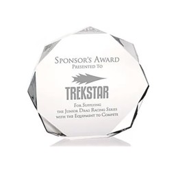 Enterprise Octagon Award