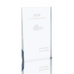 Acrylic Wedge Award - Large