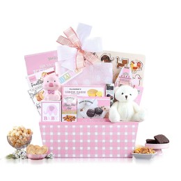 Welcome Home Baby Girl Gift Basket