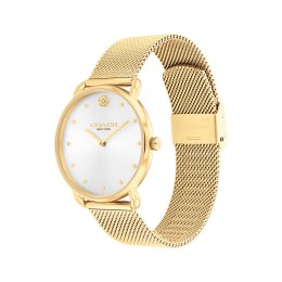 Coach Elliot Gold-Tone Stainless Steel Mesh Watch, Silver Dial - Women's