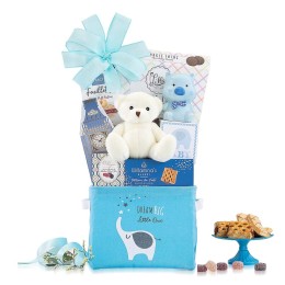 Oh Baby Gift Basket - Blue