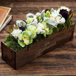 Olive & Cocoa® Bianca Grace