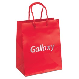 Crystal Gloss Laminated Gift Bag - 7.75'' x 4.75'' x 9.75''