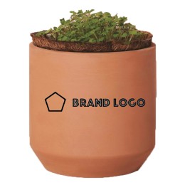 Modern Sprout® Tiny Terracotta Grow Kit