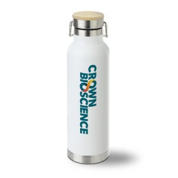 22 oz Vacuum Insulated Stainless Steel Bottle with Bamboo Cap - SALES