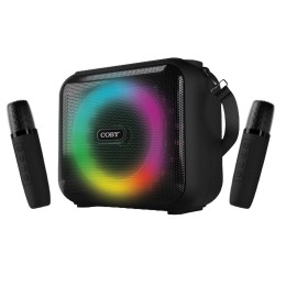 Karaoke Speaker w/ Two Wireless Microphones