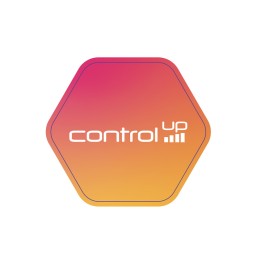 ControlUp Hexagon Stickers - Swag Closet