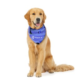 Placer Dog Bandanna