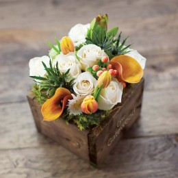 Olive & Cocoa® Fiore Bianco