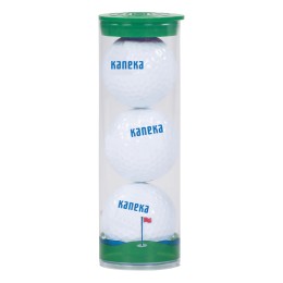 Titleist Pro V1 Golf Balls in Tube - Set of 3