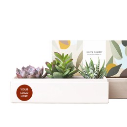 Lula's Garden Jewel Garden Succulent Plants Gift - Custom