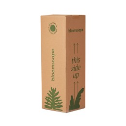 buy pink philodendron Philodendron Pink Princess  Coollective Plants