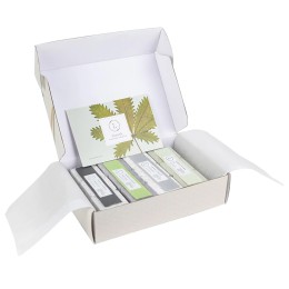 Earthy Forest Shower Steamers Fizzies Gift Box - 12 pc.