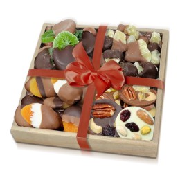 Premium Belgian Chocolate Dipped Dried Fruit & Mendiant Gift Tray