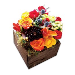 Olive & Cocoa® Farmhouse Fleur Flowers in Wood Box