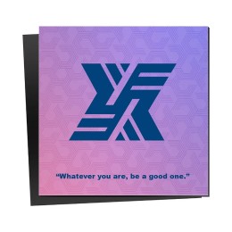 Flexible Matte Magnets - 3"