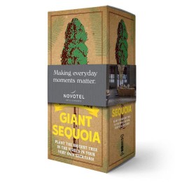 The Grow Your Own Giant Sequoia Kit
