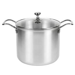 The Indus Valley Triply Ss Tall Stock Pot Glass Lid 22Cm 6.5L (India Only)