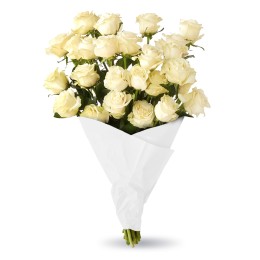 Snow Cap Roses Flower Bundle - 18 Stems