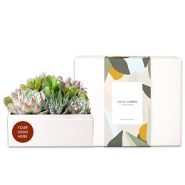 Lula's Garden Urban Garden Succulent Plants Gift - Custom