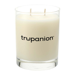 Apothecary Glass Jar White Tea & Fig Candle - 11 oz.