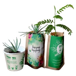 ForestNation - Ambassador You Plant 1 Tree Pack, We Plant 400 More Trees